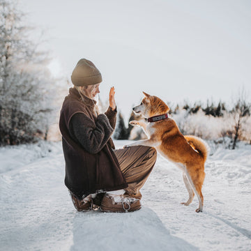 so that you never have to compromise between what’s best for your dog and what’s best for you.