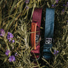 Explorer Classic Collar - Colorado Nightsky