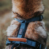 Explorer Harness