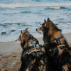 Explorer Harness - Florida Seaside