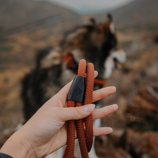 Explorer Leash - Nevada Evening