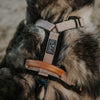 Explorer Harness