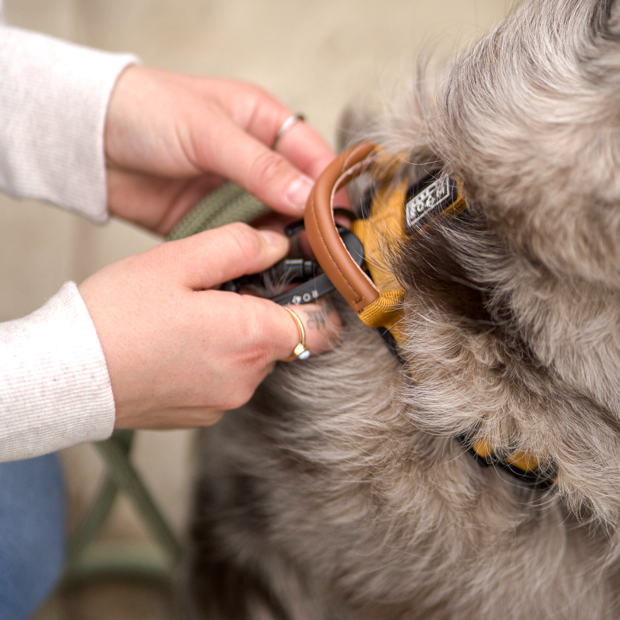 Explorer Harness Other Colors – Made To Roam