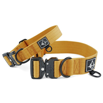 MADE TO ROAM Premium Dog Collar - Michigan Autumn