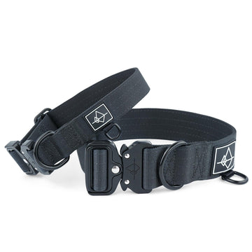 MADE TO ROAM Premium Dog Collar - New York Afterlight
