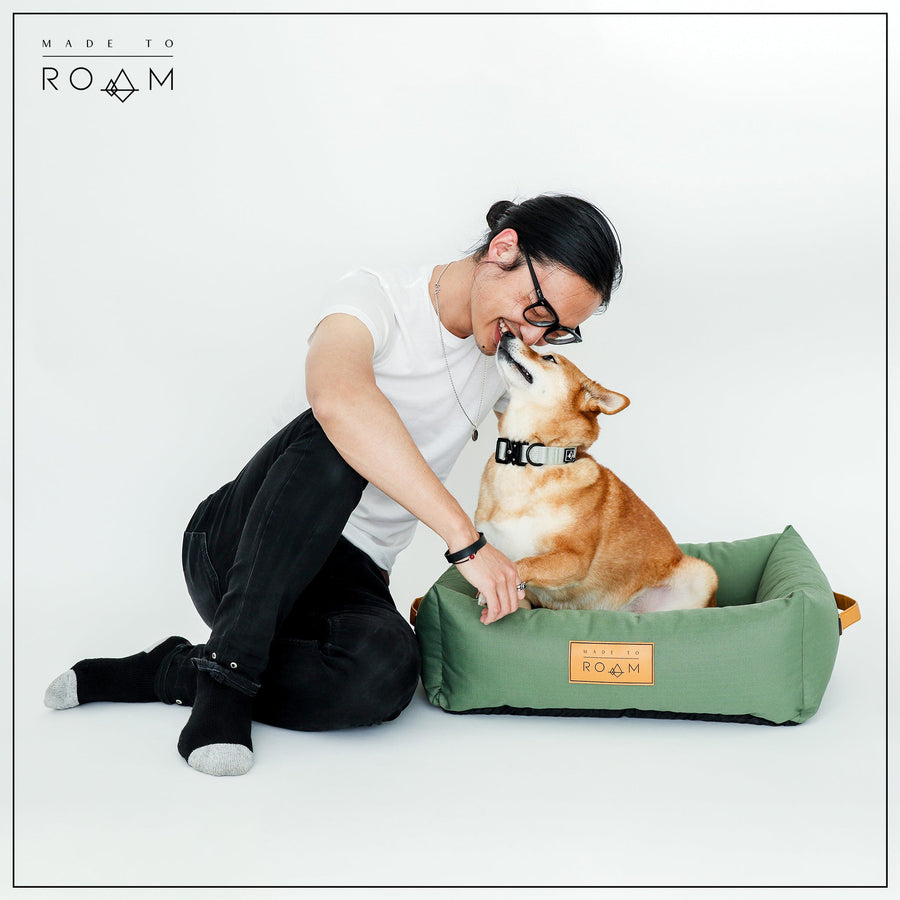 MADE TO ROAM Premium Dog Collar - Eucalyptic Glow