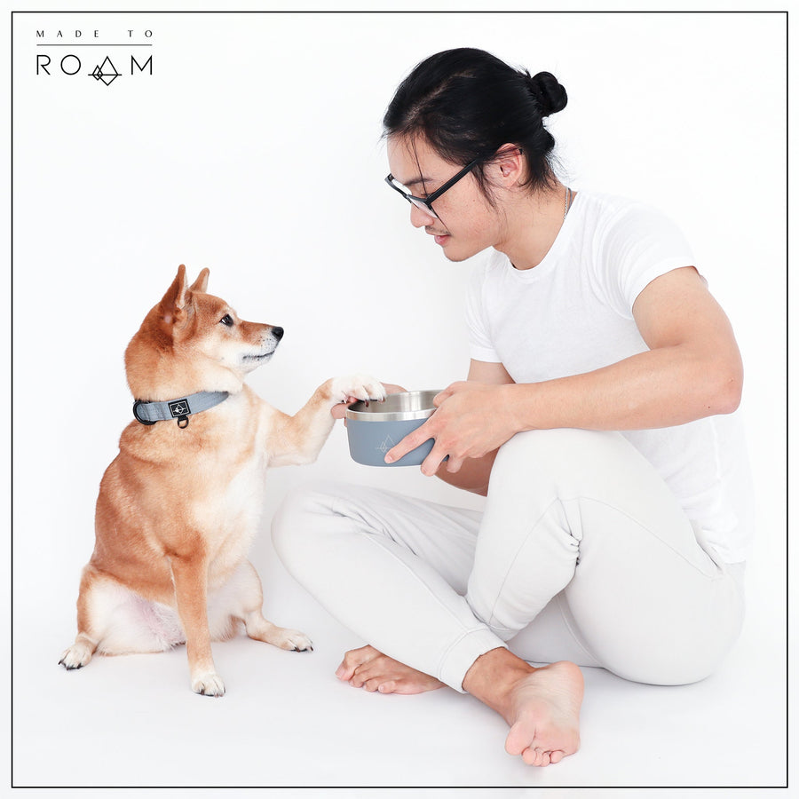 MADE TO ROAM Premium Dog Collar - Washington Rain