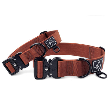 Explorer Classic Collar - Arizona Heartbeat