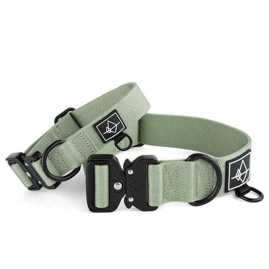 Explorer Classic Collar - Washington Rain